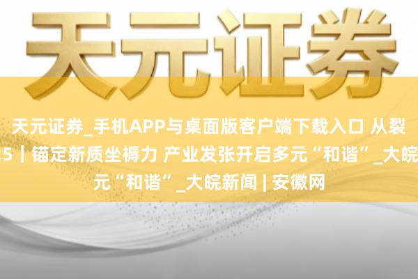 天元证券_手机APP与桌面版客户端下载入口 从裂缝词读懂2025｜锚定新质坐褥力 产业发张开启多元“和谐”_大皖新闻 | 安徽网